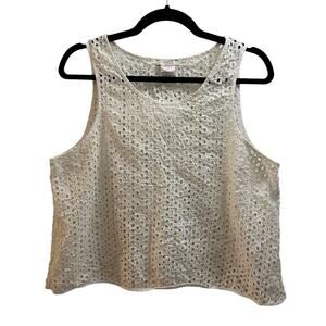 Talula Aritzia White Eyelet Crop Top